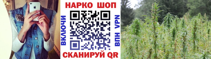 Купить наркотики сайты Новотитаровская ГАШИШ  Бошки Шишки  Мефедрон 