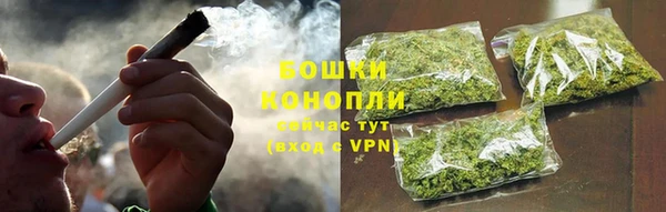 ешки Белокуриха