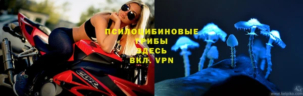 ешки Белокуриха