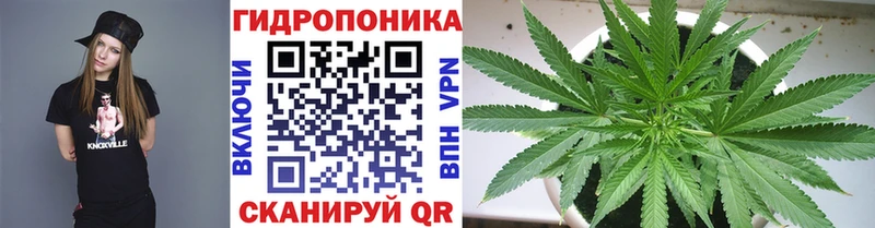 Каннабис Ganja  Новотитаровская 